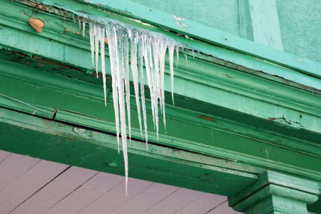 Icicles on green wood