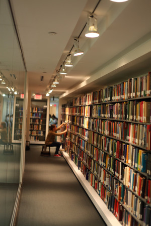 Library shelf