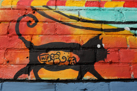 Graffiti with mouse inside cat