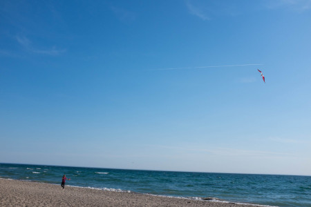 Two-string kite on beach