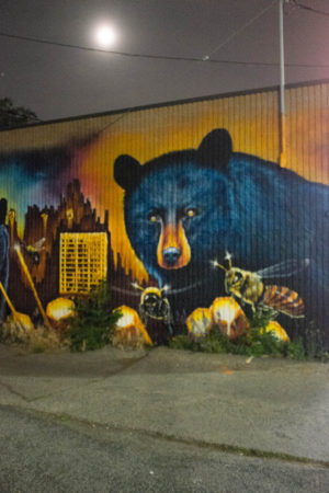 Bear mural by night