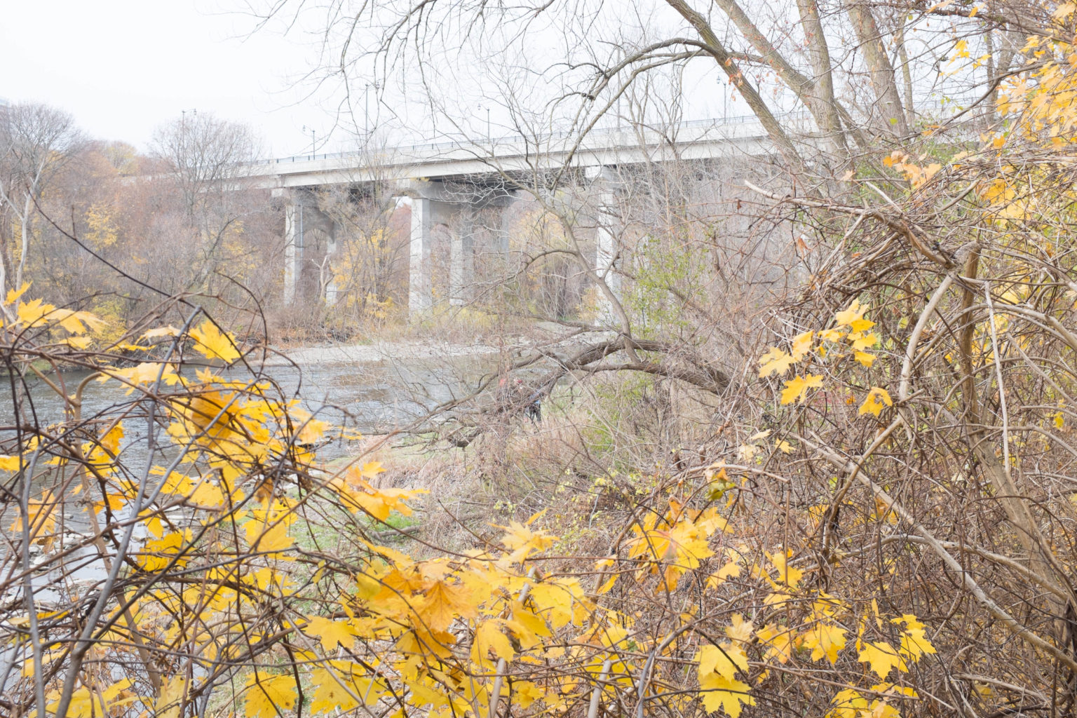 Bridge Over The Humber River 8845