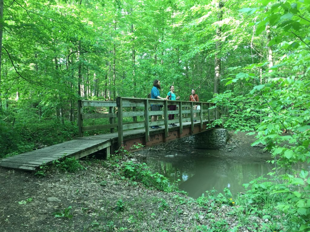 Back To The Claireville Conservation Area – A Sibilant Intake Of Breath